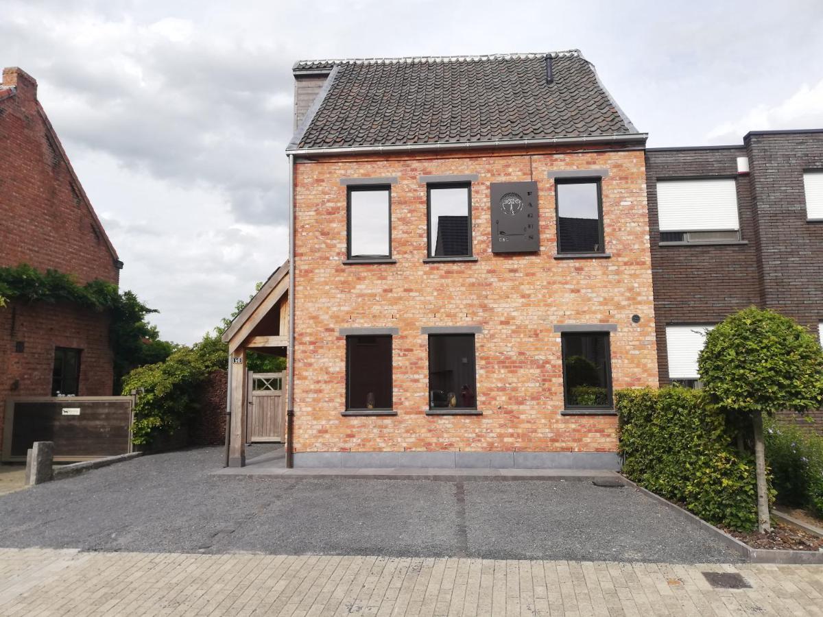 B&B Fagus Buggenhout Εξωτερικό φωτογραφία